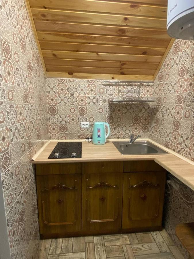 Apartament Затишок В Карпатах 1 Sławsko Zewnętrze zdjęcie